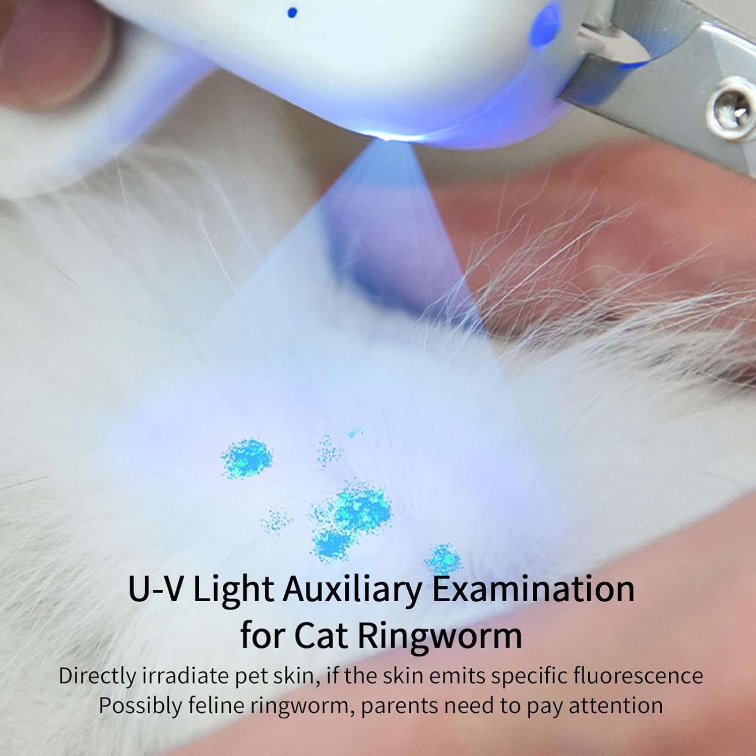 Thumbnail 2 de PAKEWAY Coupe-Griffes LED & UV pour Chats et Chiens — Tondeuse Ergonomique, Rechargeable USB