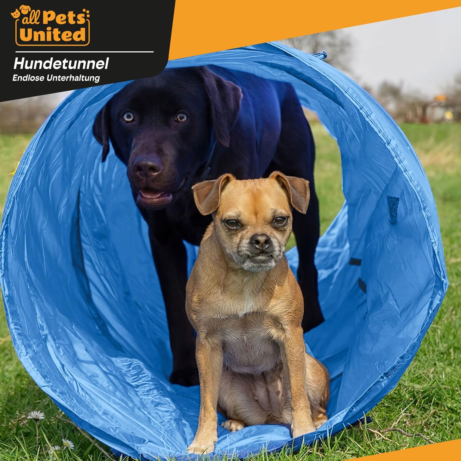Thumbnail 3 de GOODS+GADGETS Tunnel d’agilité pour chien (200 cm) avec patères et sac de transport