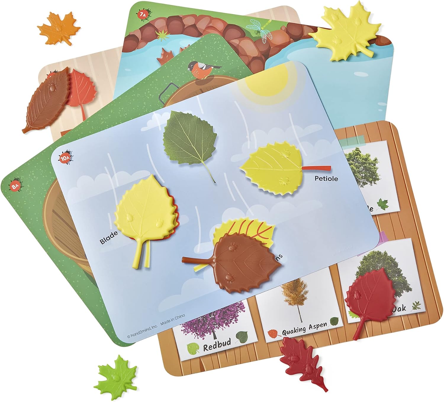 Thumbnail 3 de hand2mind Sensory Leaves Math Activity Set 🎲