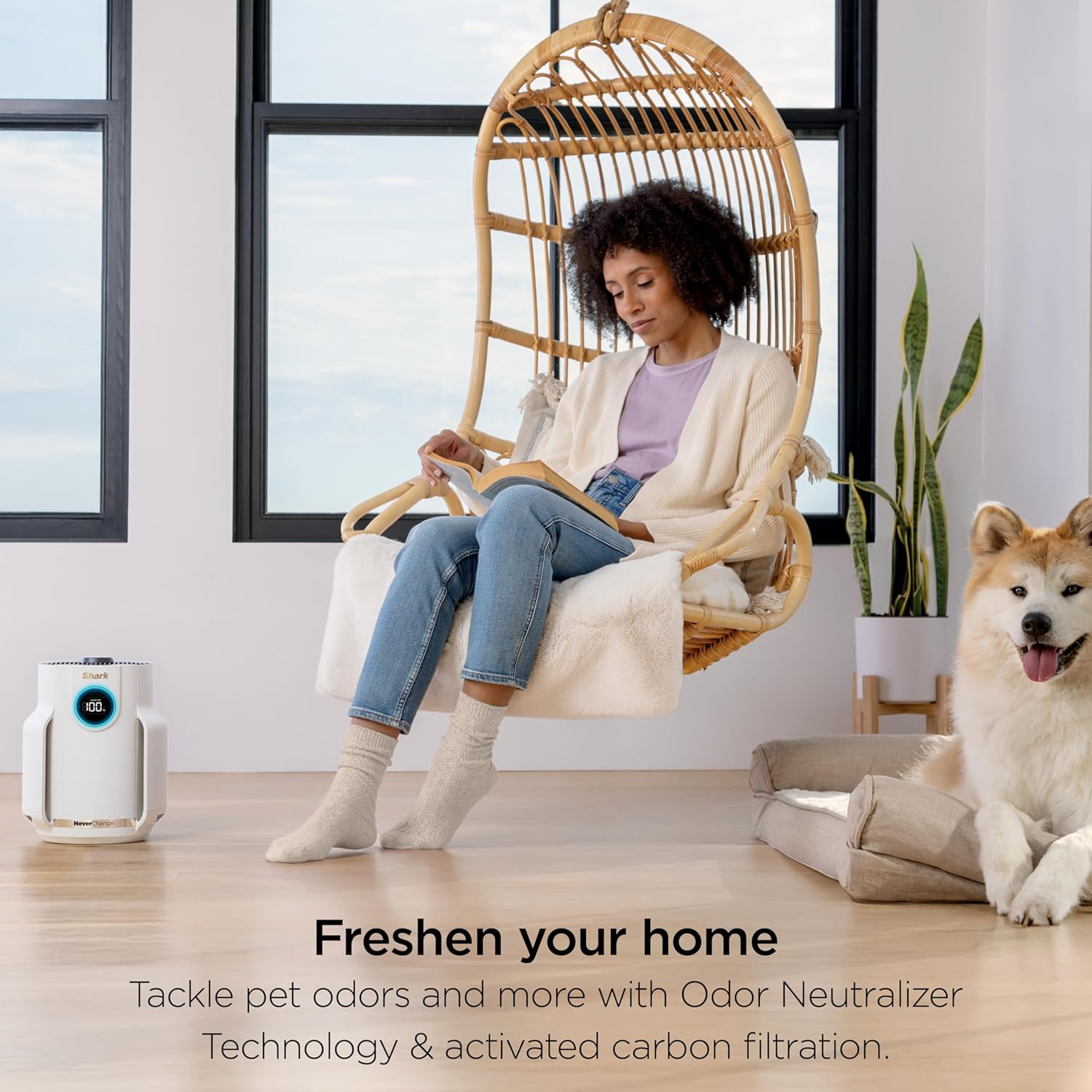 Thumbnail 6 de Shark NeverChange Compact Pro Air Purifier for Home (HP072WH)