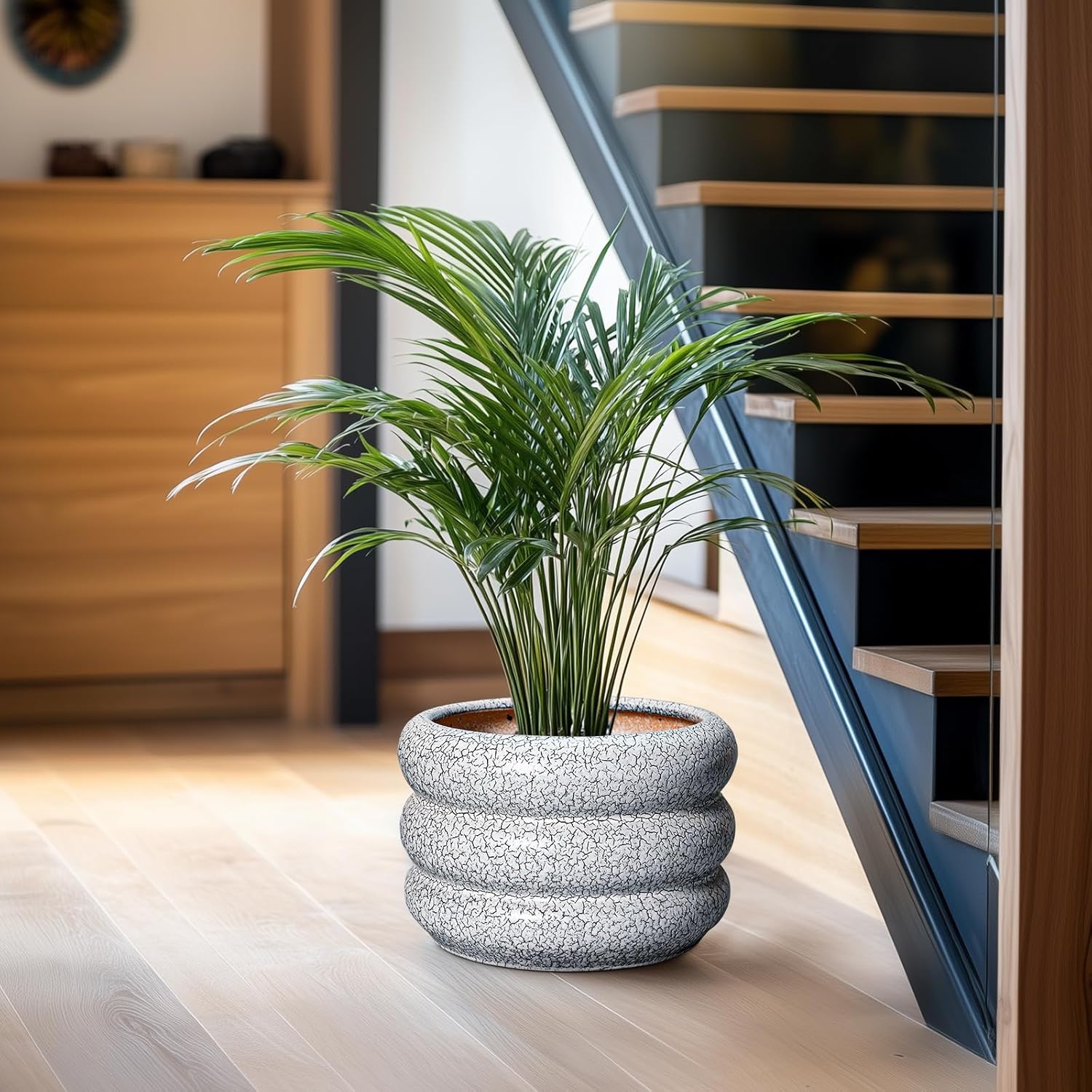 Thumbnail 5 de SQOWL Ceramic Planter 10-inch indoor plant pot