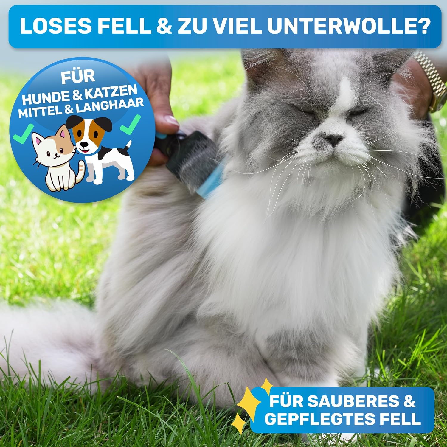 Detalle de BluePet ZupfZeug Pro – Professionelle Doppelkopf-Hundebürste für Langhaar mit flexiblem Kopf