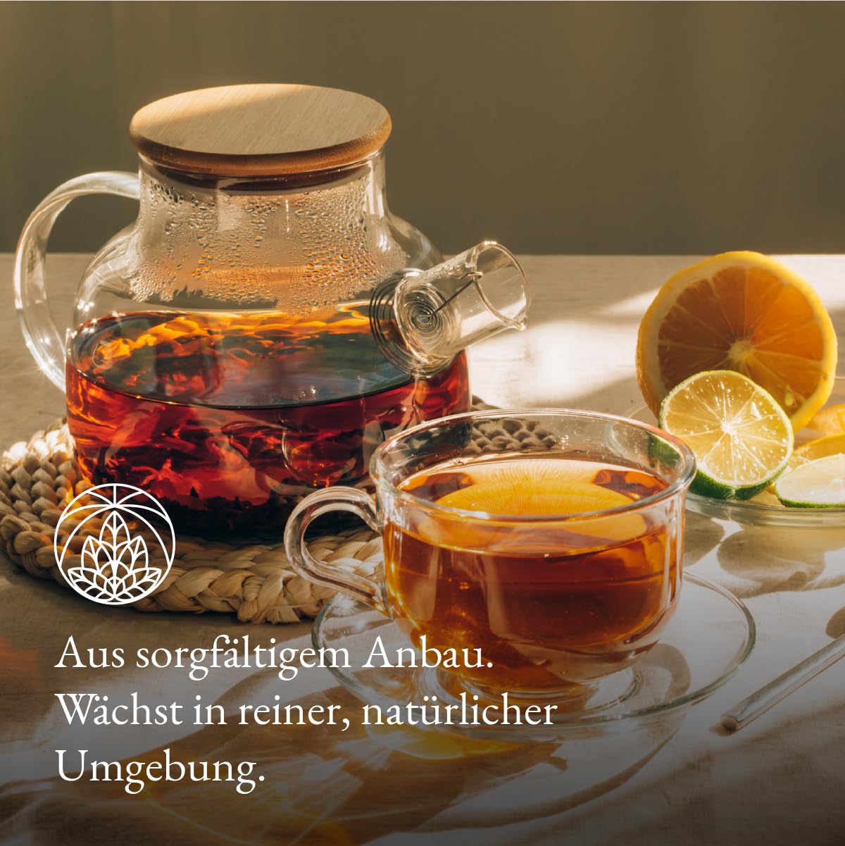 Thumbnail 3 de Bittertee stark Monte Nativo (150g) – Kräutertee lose