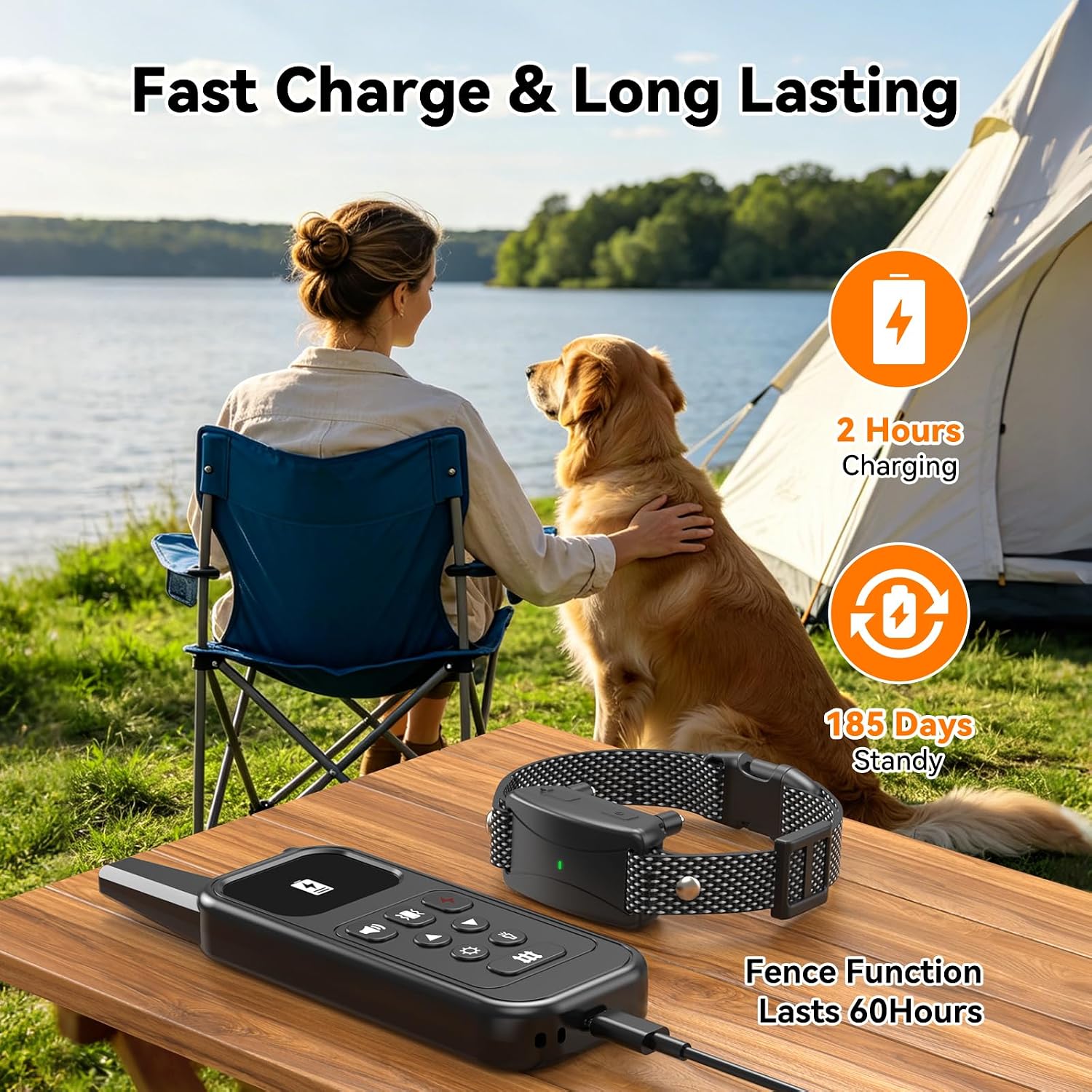 Detalle 2 de Wireless Dog Fence System
