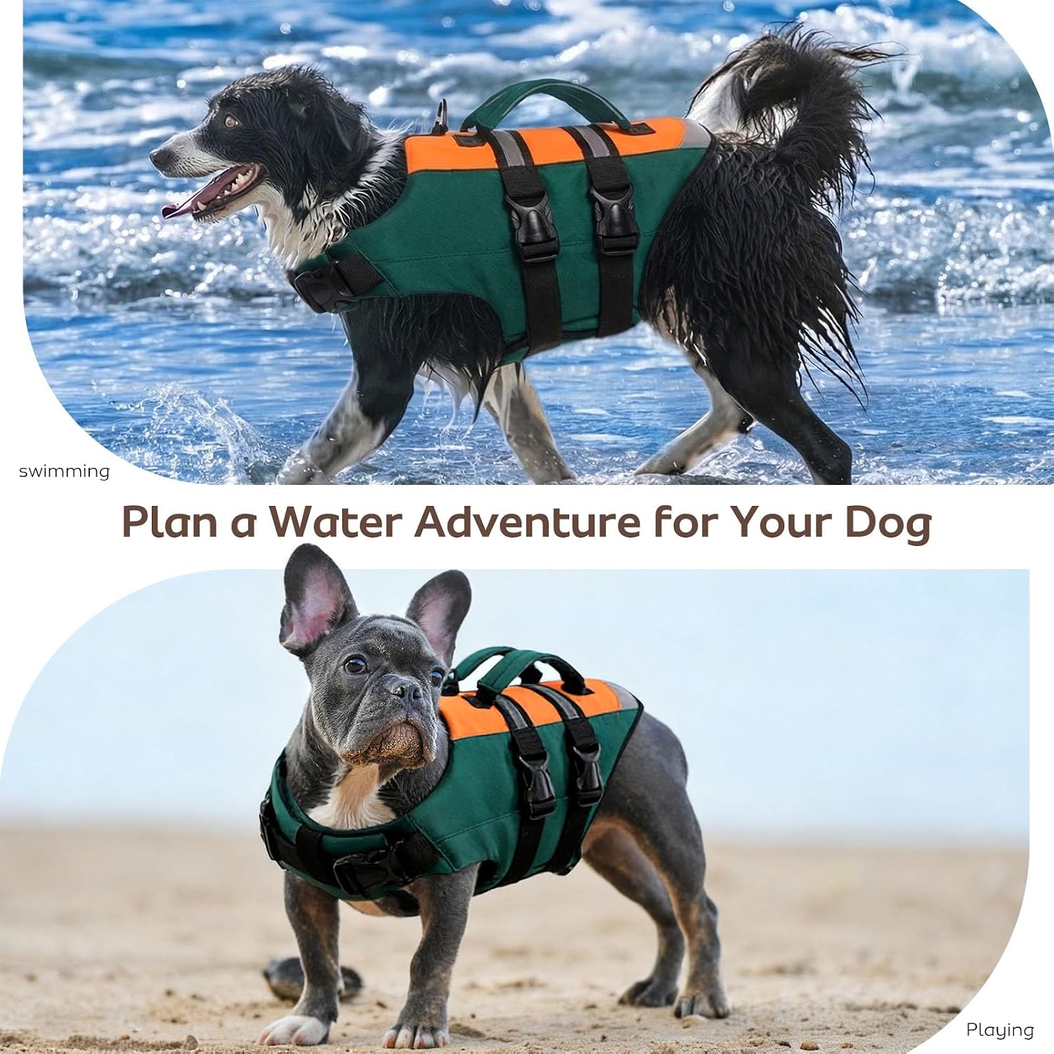 Thumbnail 6 de CITÉTOILE Dog Life Jacket with Handle & Safety Leash — Buoyancy Aid Vest for Boating, Pool & Lakes