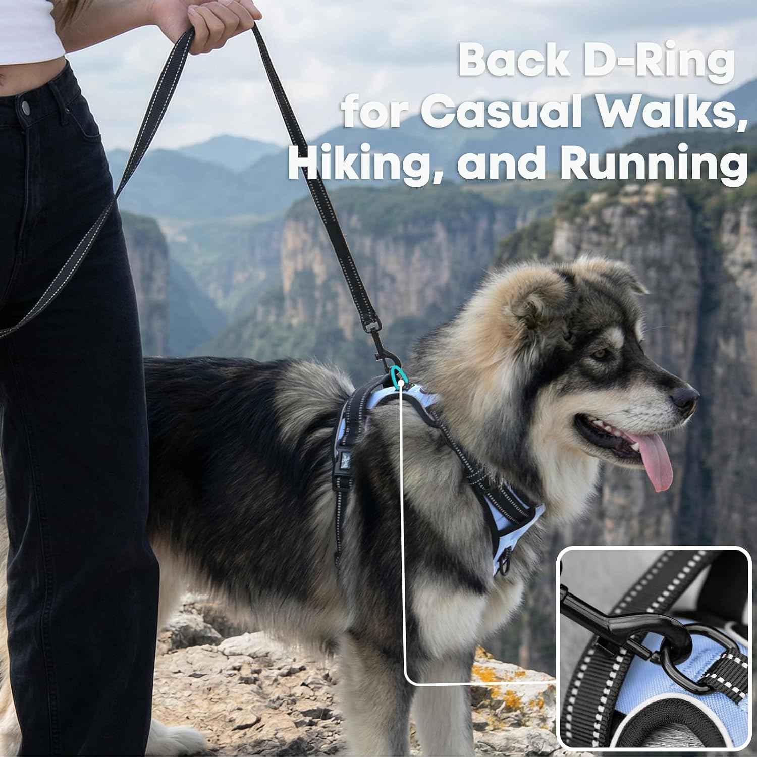 Detalle de No Pull Dog Harness with Reflective 2-Leash