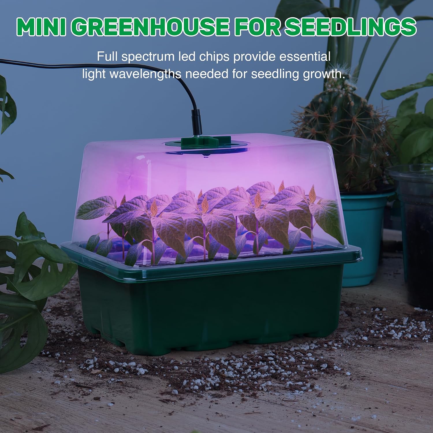 Thumbnail 6 de MIXC Seed Trays with Grow Light – 5 Pack Propagation Kit for Indoor Plants