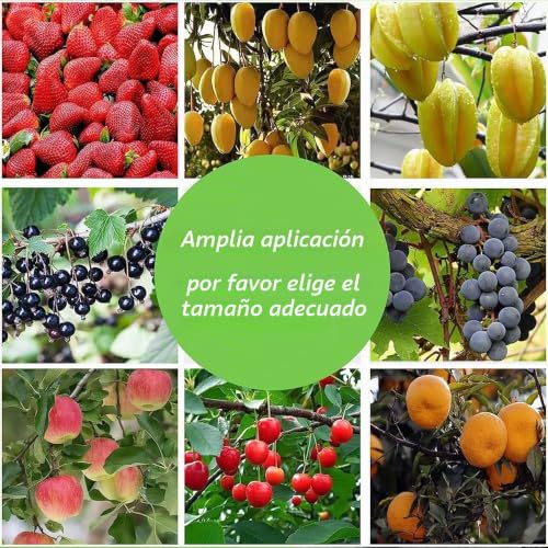 Thumbnail 5 de Bolsas de Protección para Uvas 20 x 30 cm – 100 unidades de RURIZHONGTIAN