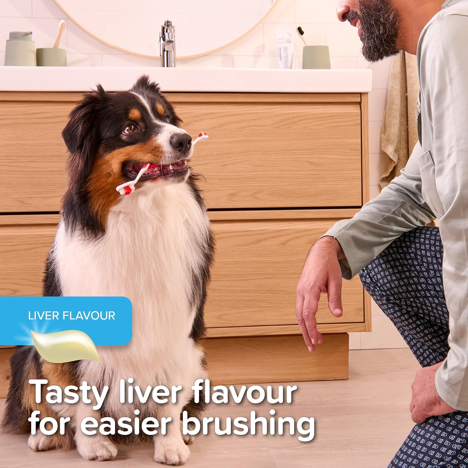 Thumbnail 4 de Beaphar Liver Toothpaste 100g 🐾