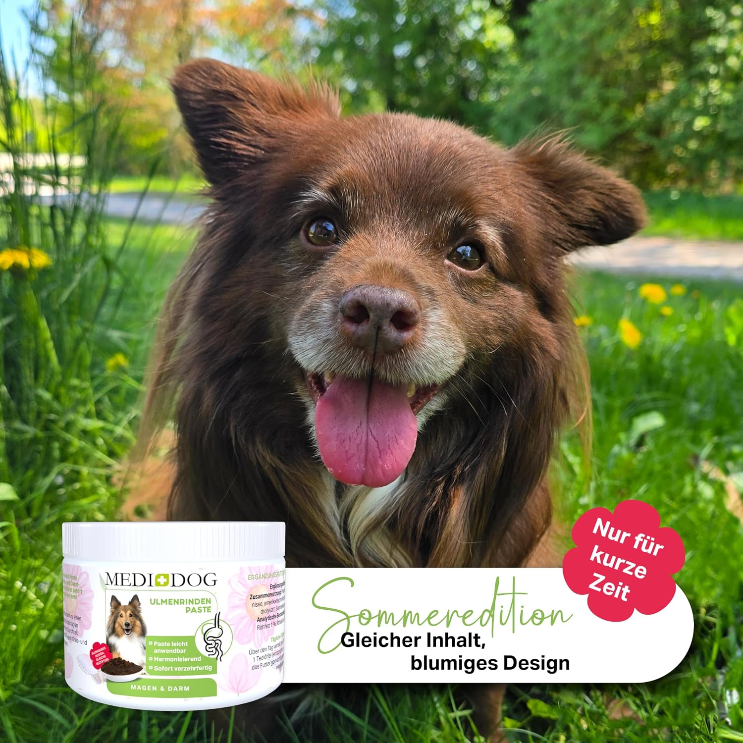 Detalle de MEDIDOG 500g Premium Ulmenrinden-Paste für Hunde – sofort verzehrfertig mit Slippery Elm Bark