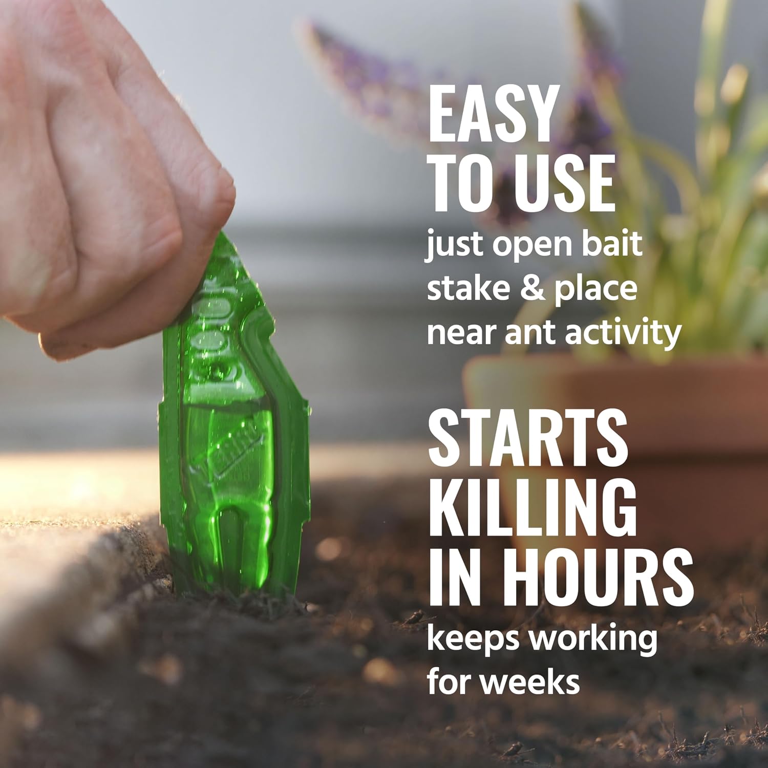 Detalle de TERRO T1813CAN Outdoor Liquid Ant Bait Stakes, 8-Pack, Weatherproof