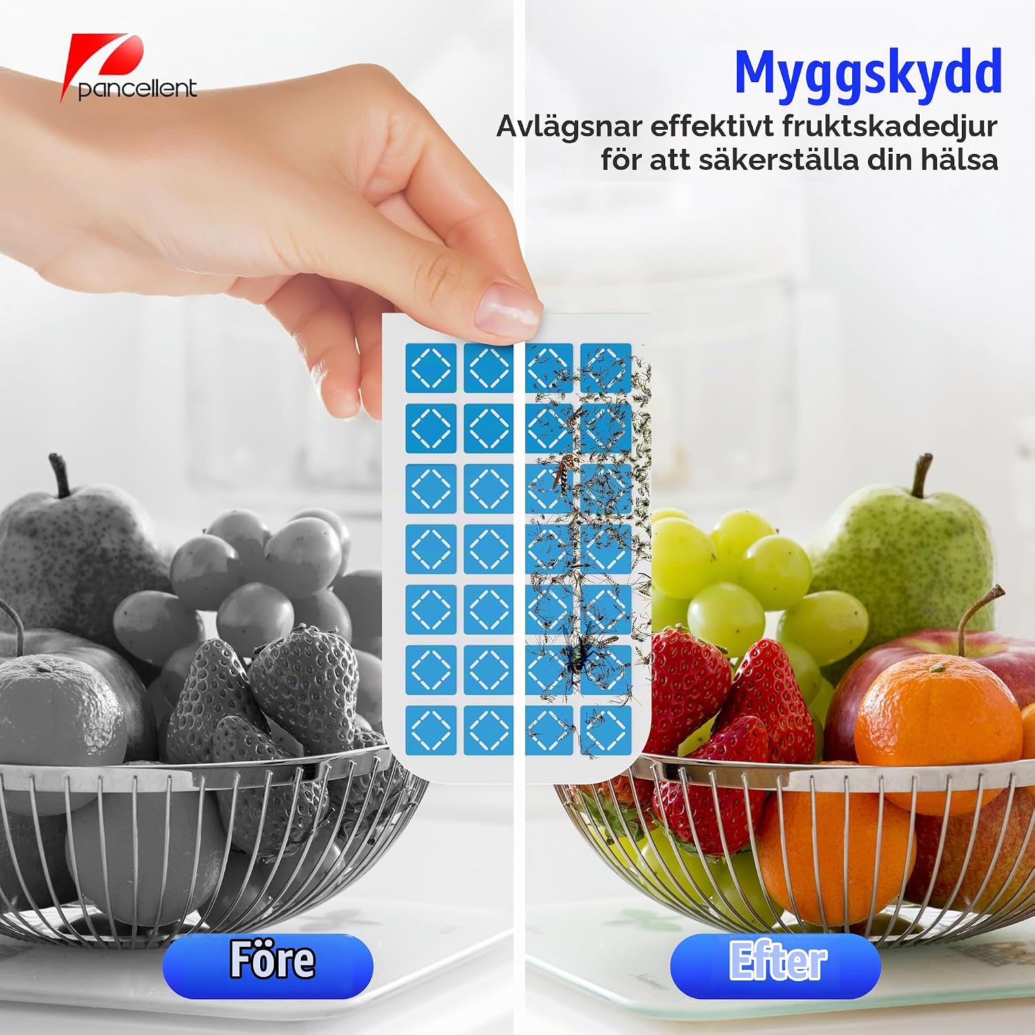 Detalle 2 de Pancellent P- HW04-BLK insektsfälla för inomhusbruk, blåviolett ljus, 2-pack