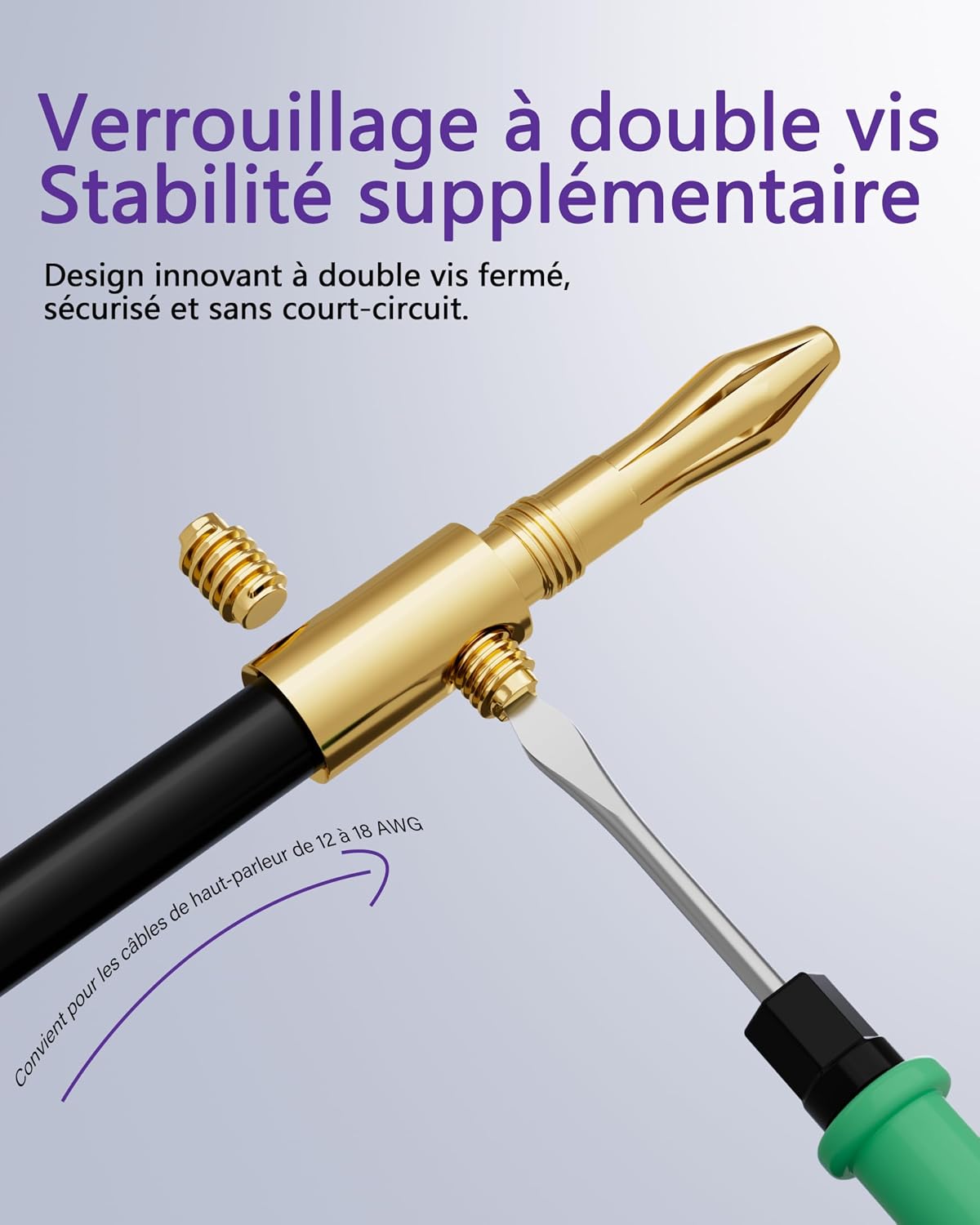 Detalle de VCELINK Fiches Banane Premium Plaquées Or 24K à double vis (8 pièces) – sortie HiFi fiable