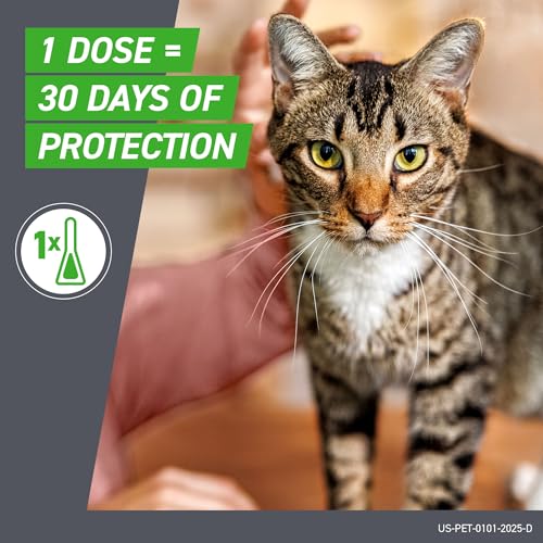 Detalle de Frontline Plus Flea & Tick Spot Treatment for Cat & Kitten (Green) - 3 Count