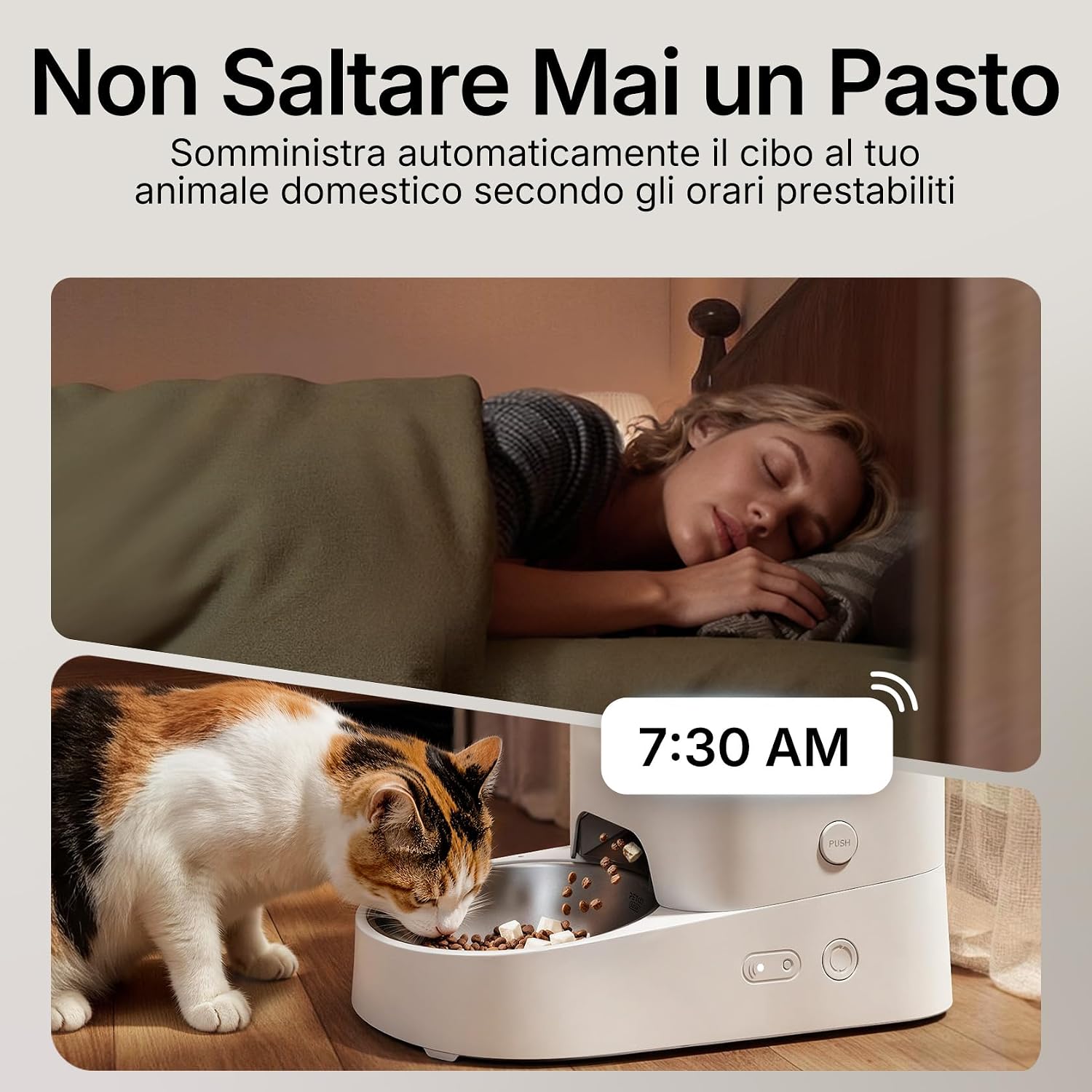Detalle 2 de PETKIT Distributore Automatico Cibo per Gatti (3L) e Cani (2.4G WiFi) con Ciotola in Acciaio inox 304 e Fresh Lock