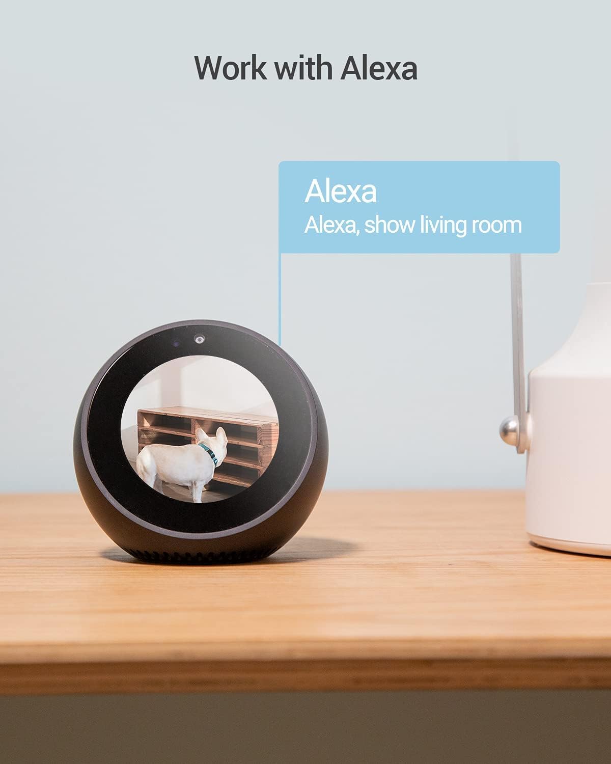 Thumbnail 6 de EZVIZ C6N Telecamera Wi‑Fi Interna 1080p con Pan/Tilt/Zoom, 360° e Visione Notturna – Audio Bi‑direzionale, Alexa