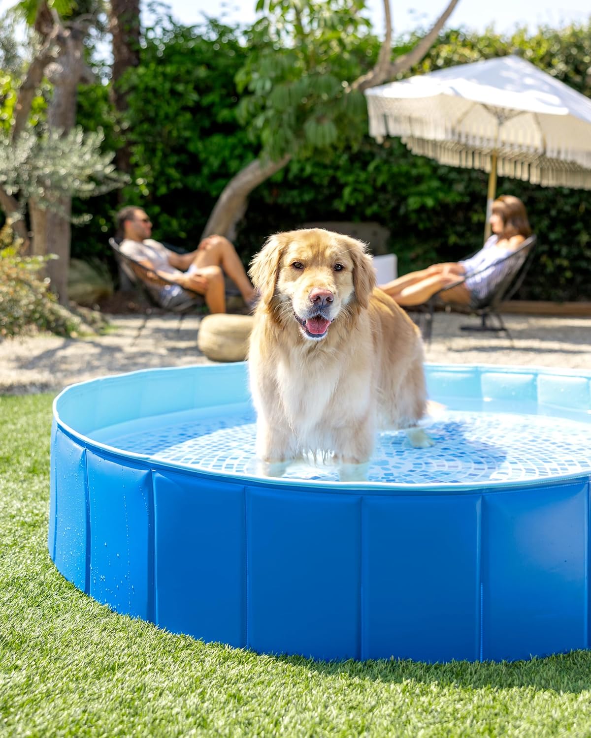 Detalle 2 de INTEX 48400EP Foldable Dog Pool for Pets 60in x 12in ๐ถ๐ง