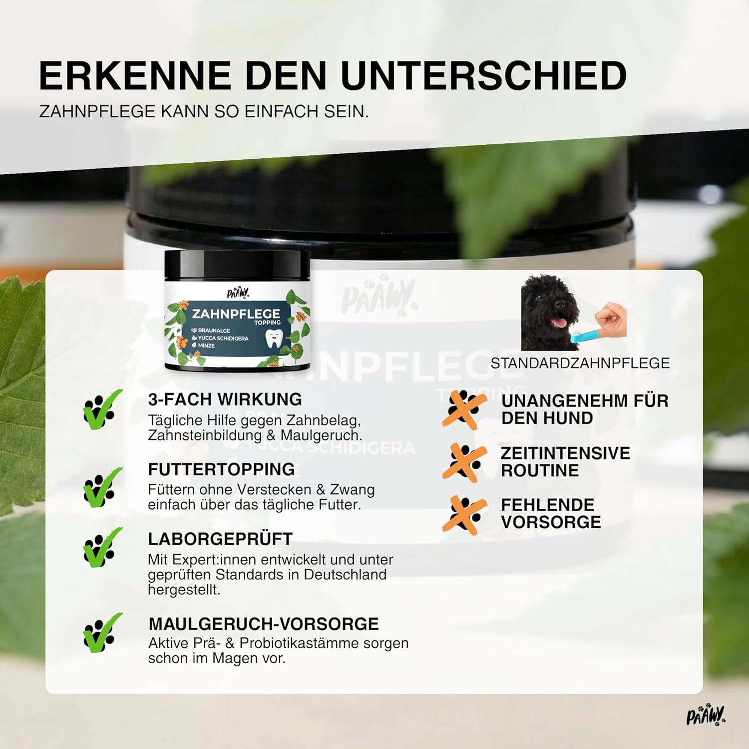 Detalle de paawy Dental Pulver für Hunde – 9-in-1 Wirkstoff-Komplex, Zahnsteinentferner & Mundgeruch-Futtertopping
