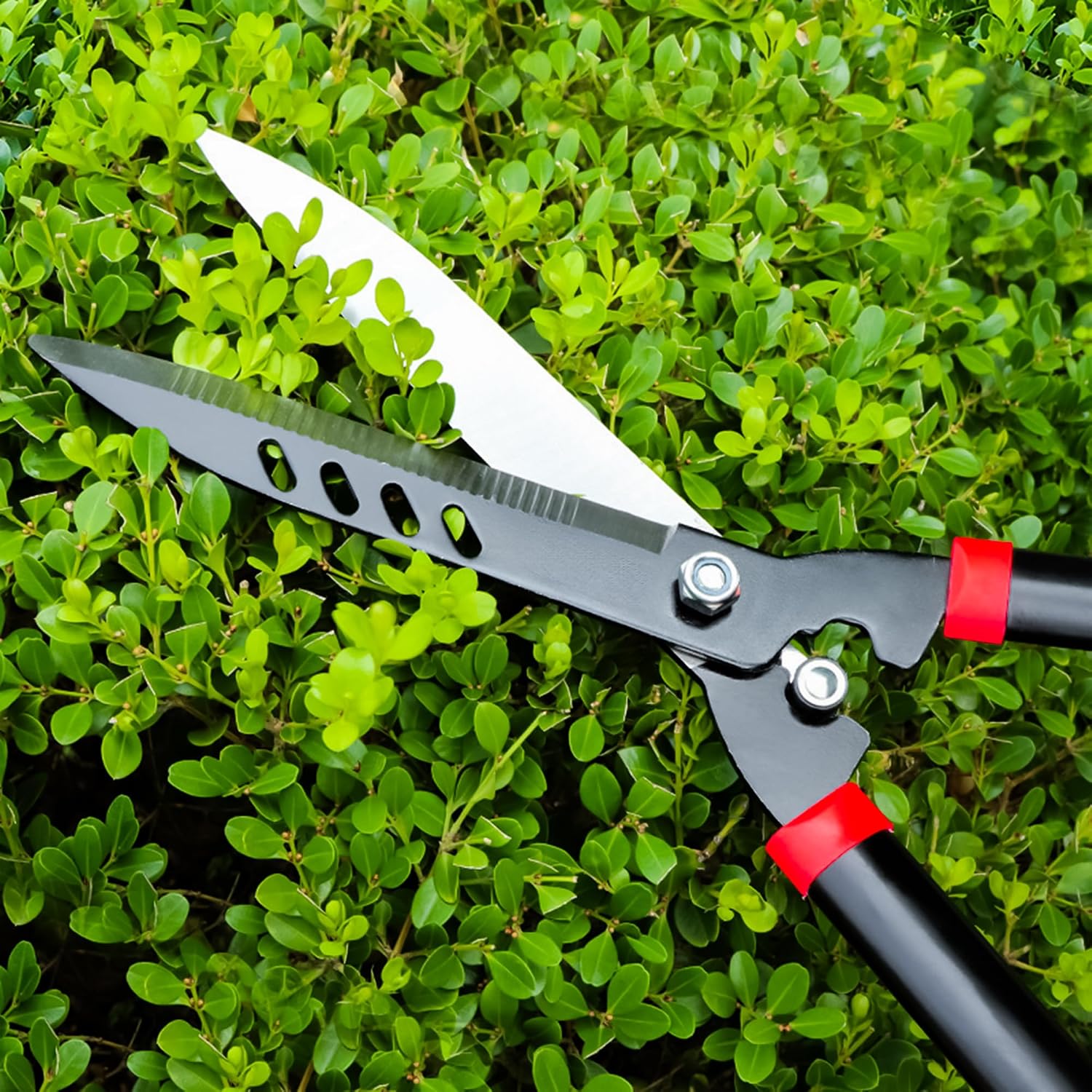 Thumbnail 5 de 10” Carbon steel hedge shears