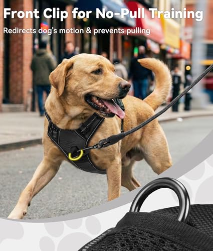 Detalle de Joytale Anti-Traction, harnais pour chien taille M noir, réglable et réfléchissant