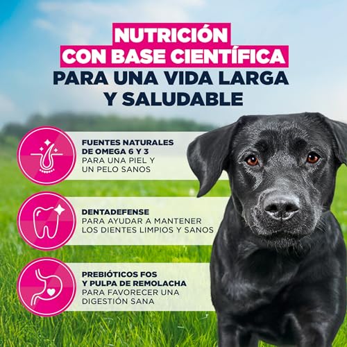 Detalle de Eukanuba Alimento Seco Premium para Perros Adultos de Razas Grandes (Pollo Fresco) – 15 kg