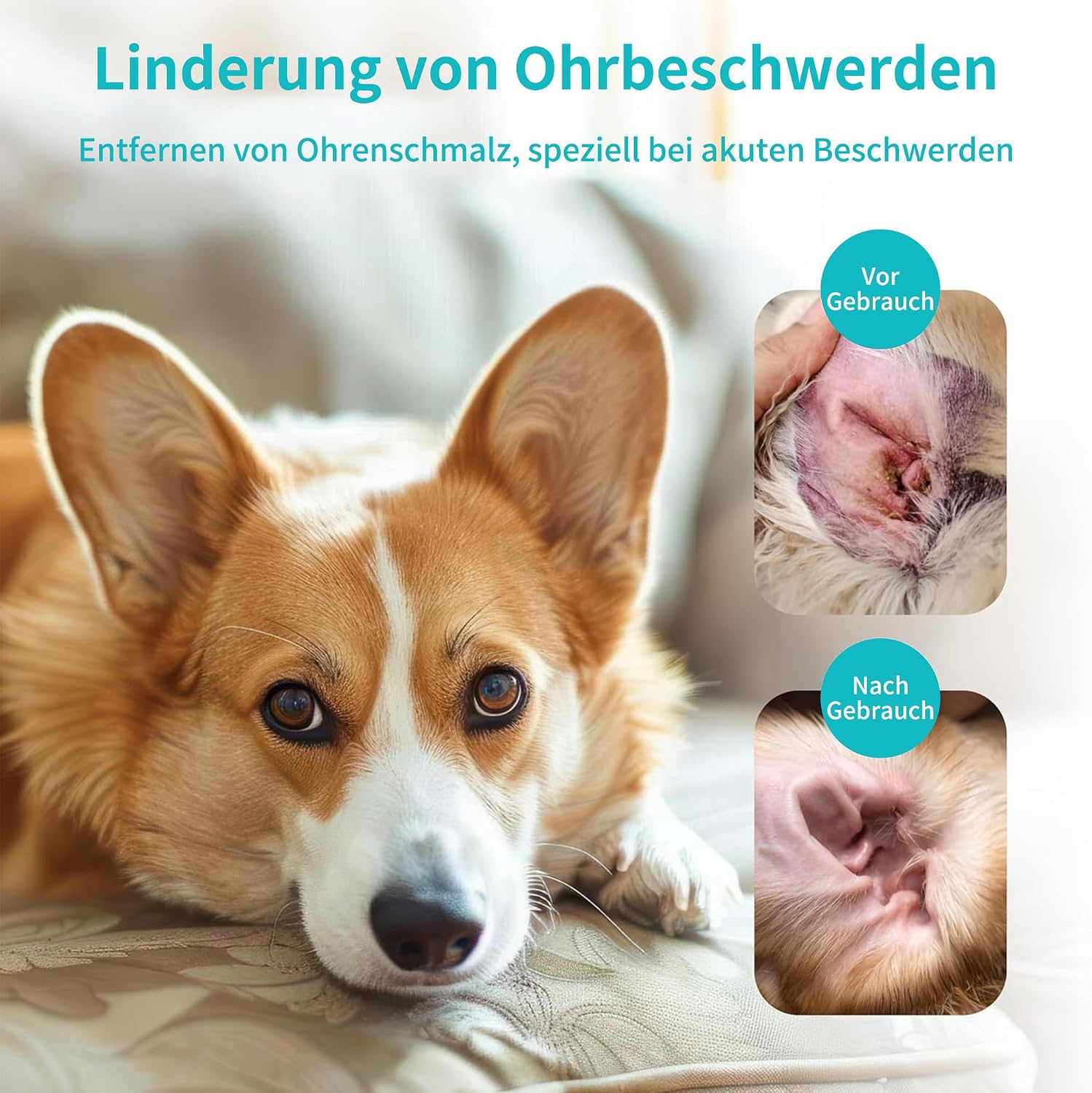 Detalle de PETCLEAR Ohrenreiniger Hund – 2x120 ml mit biegbarem Applikator
