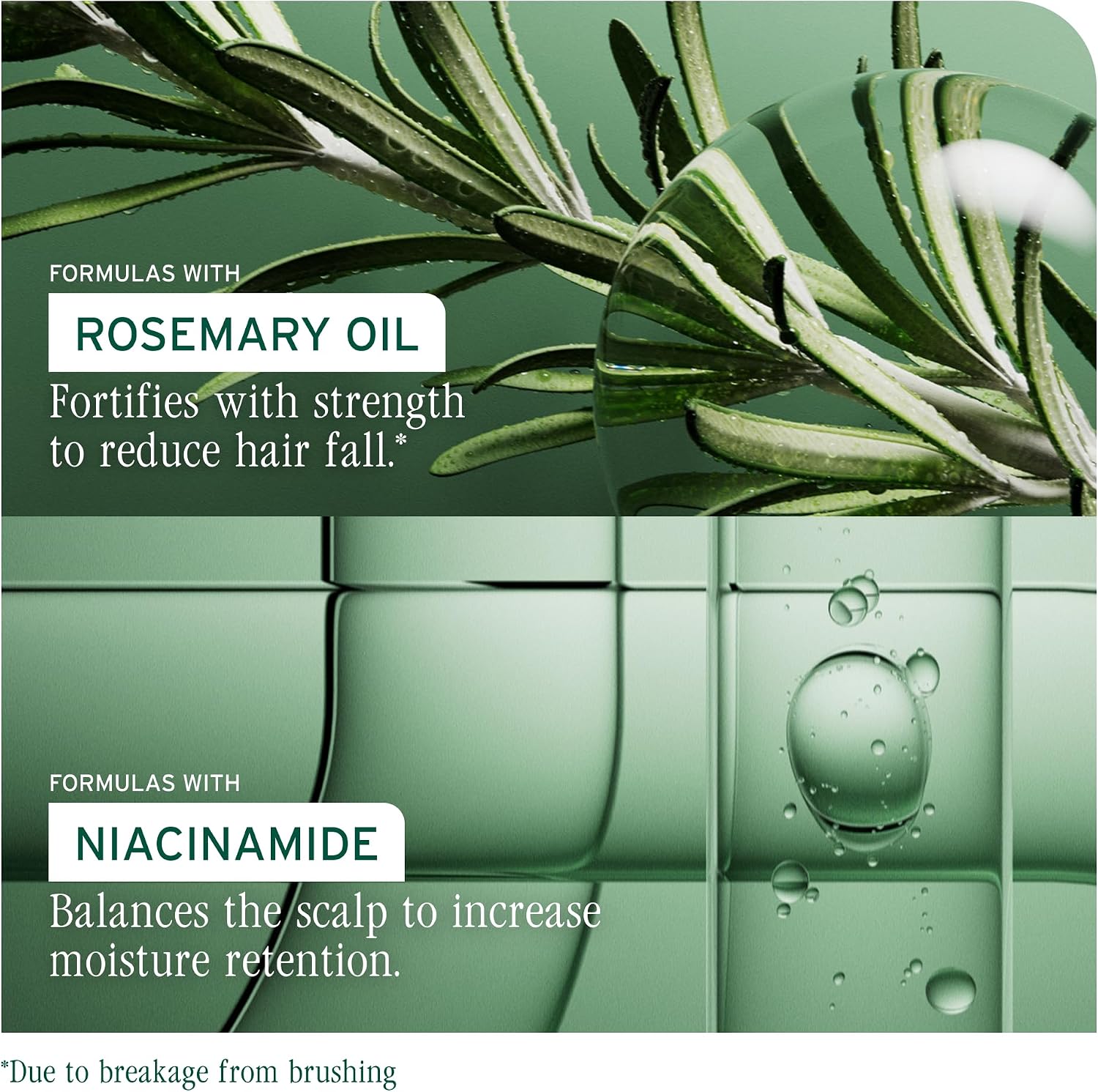 Thumbnail 3 de Biolage Full Rescue Invigorating Scalp Serum with Rosemary Oil & Niacinamide (50ml)