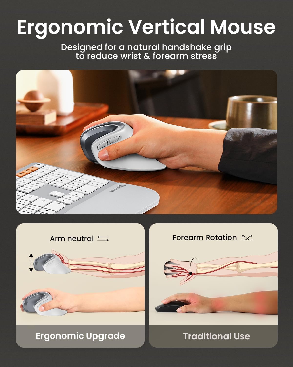 Detalle de ProtoArc EM11 NL ergonomische vertikale Maus – kabellos, mit Bluetooth/USB und für bis zu 3 Geräte