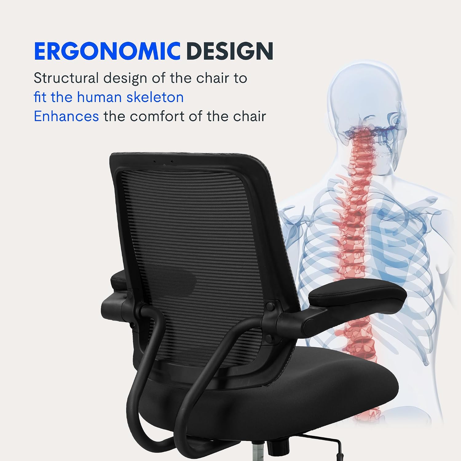 Thumbnail 2 de FLEXISPOT Heavy-Duty Ergonomic Office Chair (227 kg Capacity) for Big & Tall Users