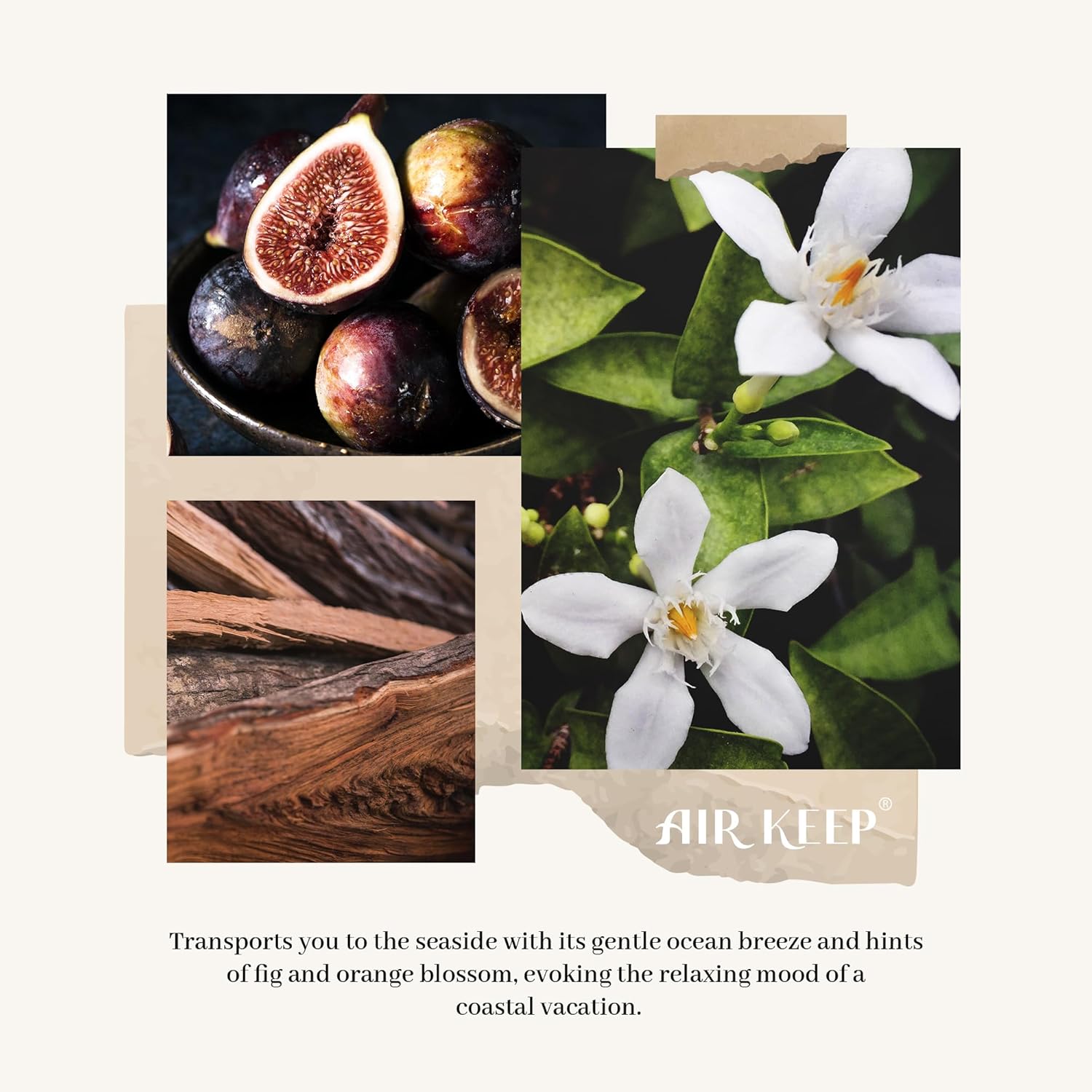 Detalle de Airkeep Diffuseur de Parfum Ocean Mist & Sea Salt – 100 ml, 8 bâtonnets