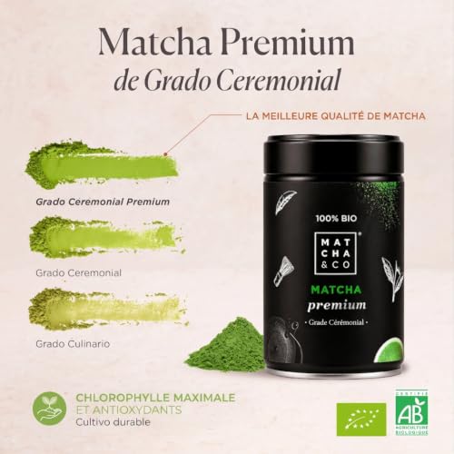 Detalle 2 de Matcha & CO | Thé Matcha Cérémoniel Biologique – Pur et Équilibré (80 g)