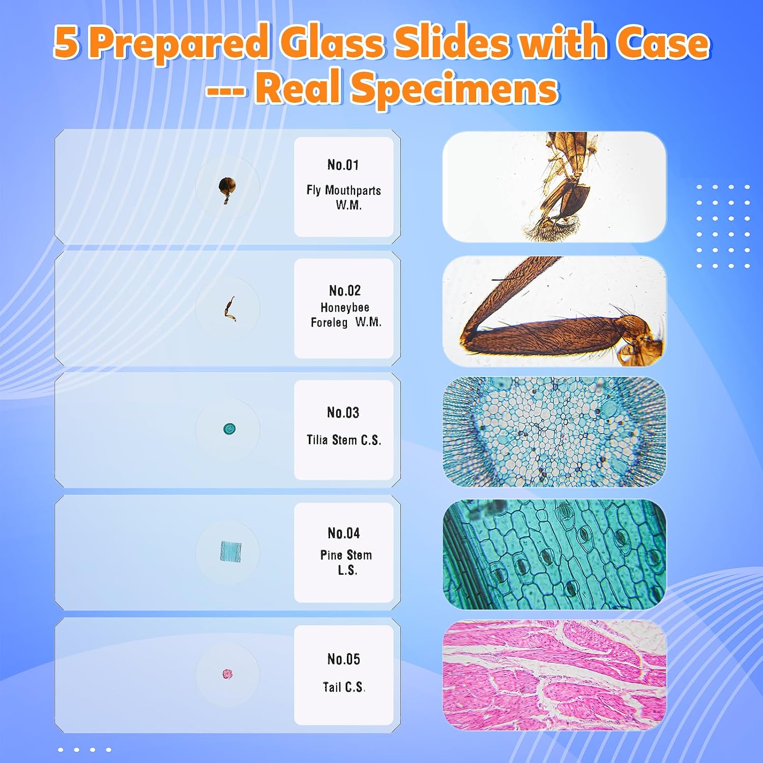 Thumbnail 2 de 4K Digital Microscope for Kids 2-inch Screen