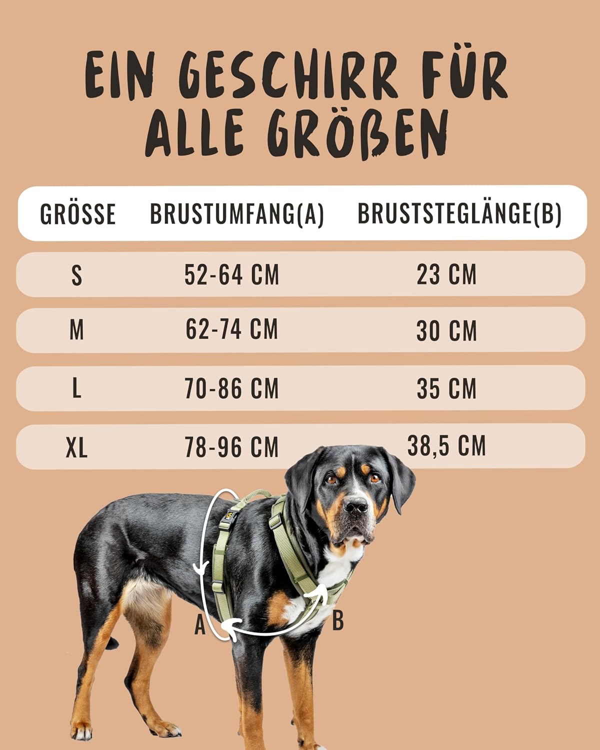 Thumbnail 4 de Rudelkönig Bella Hundegeschirr đ
