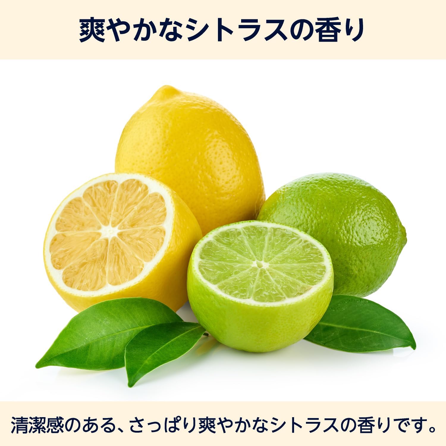Detalle de by Amazon 薬用ハンドソープ 5L シトラスの香り 詰め替え用・泡/液体ポンプ兼用