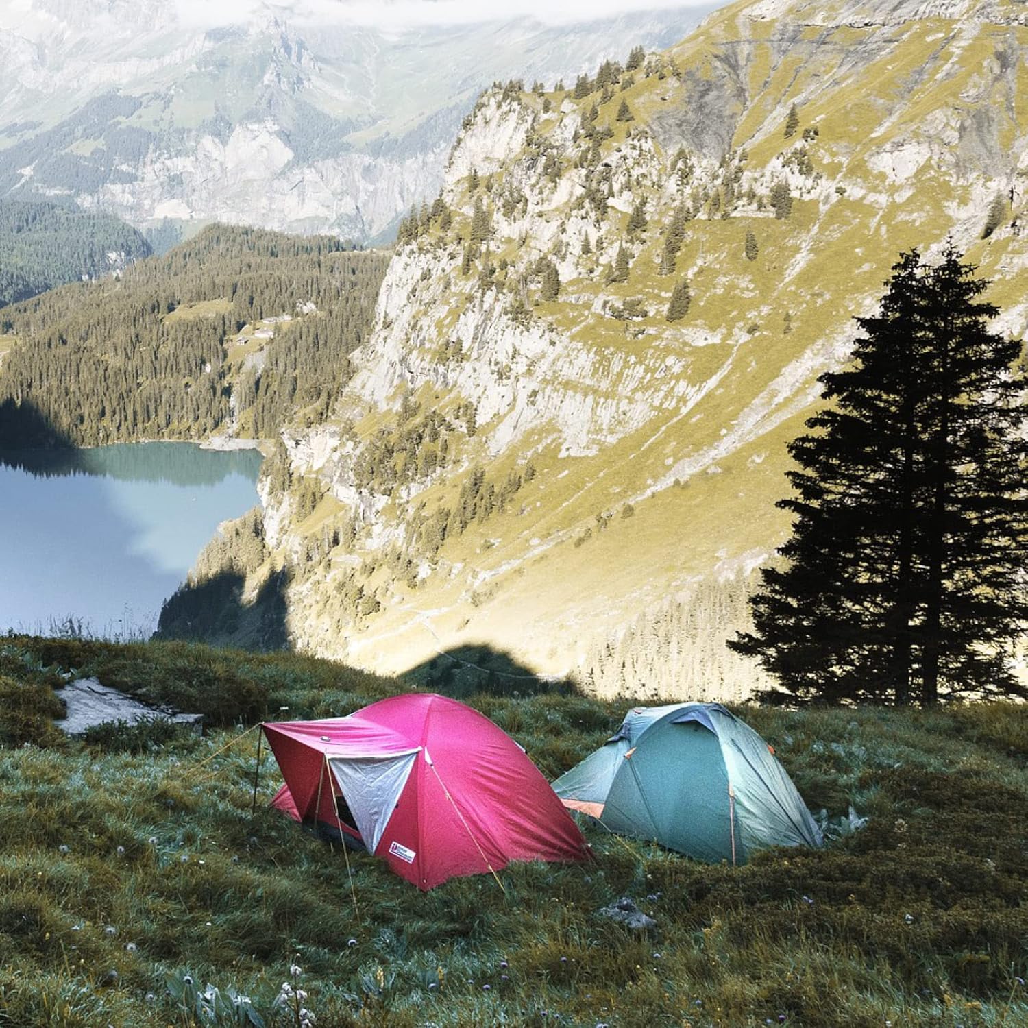 Thumbnail 2 de com-four® 24x Zeltheringe aus robustem Stahl – 20,5 cm Felsboden-Erdnägel mit Gewinde & Seil-Halterung