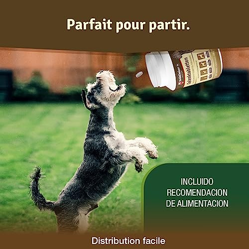 Detalle de Veddelholzer Comprimés articulations pour chiens – moules vertes, MSM, Griffe du Diable, glucosamine et collagène, 125 comprimés