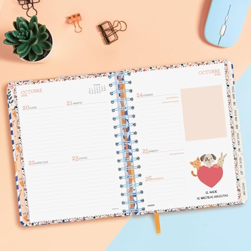 Thumbnail 3 de Finocam Agenda Vitae 16 meses 2025–2026 azul 📘