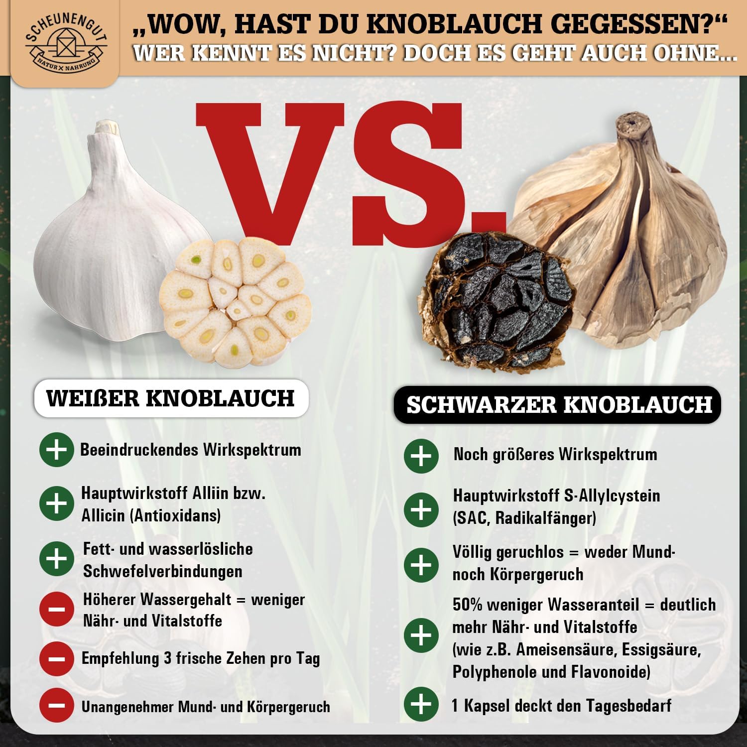 Detalle de SCHEUNENGUT® Schwarzer Knoblauch 1500mg Kapseln 🧄