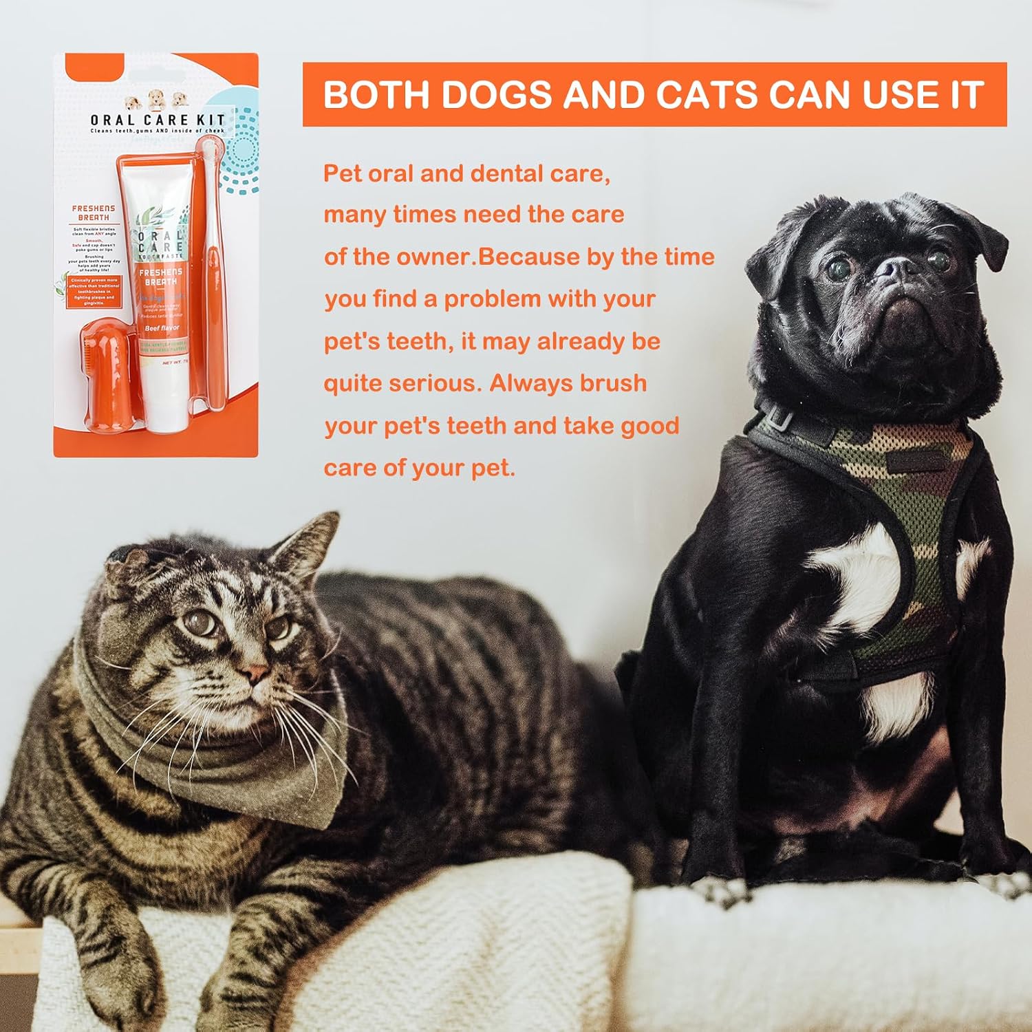 Detalle 2 de Dog Dental Care Set with Beef Toothpaste