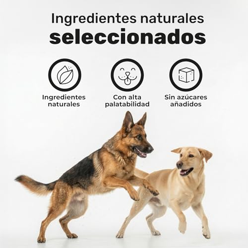 Thumbnail 5 de Probiótico para Perros de natuva pets – Repara la Flora Intestinal y Refuerza el Sistema Inmunológico