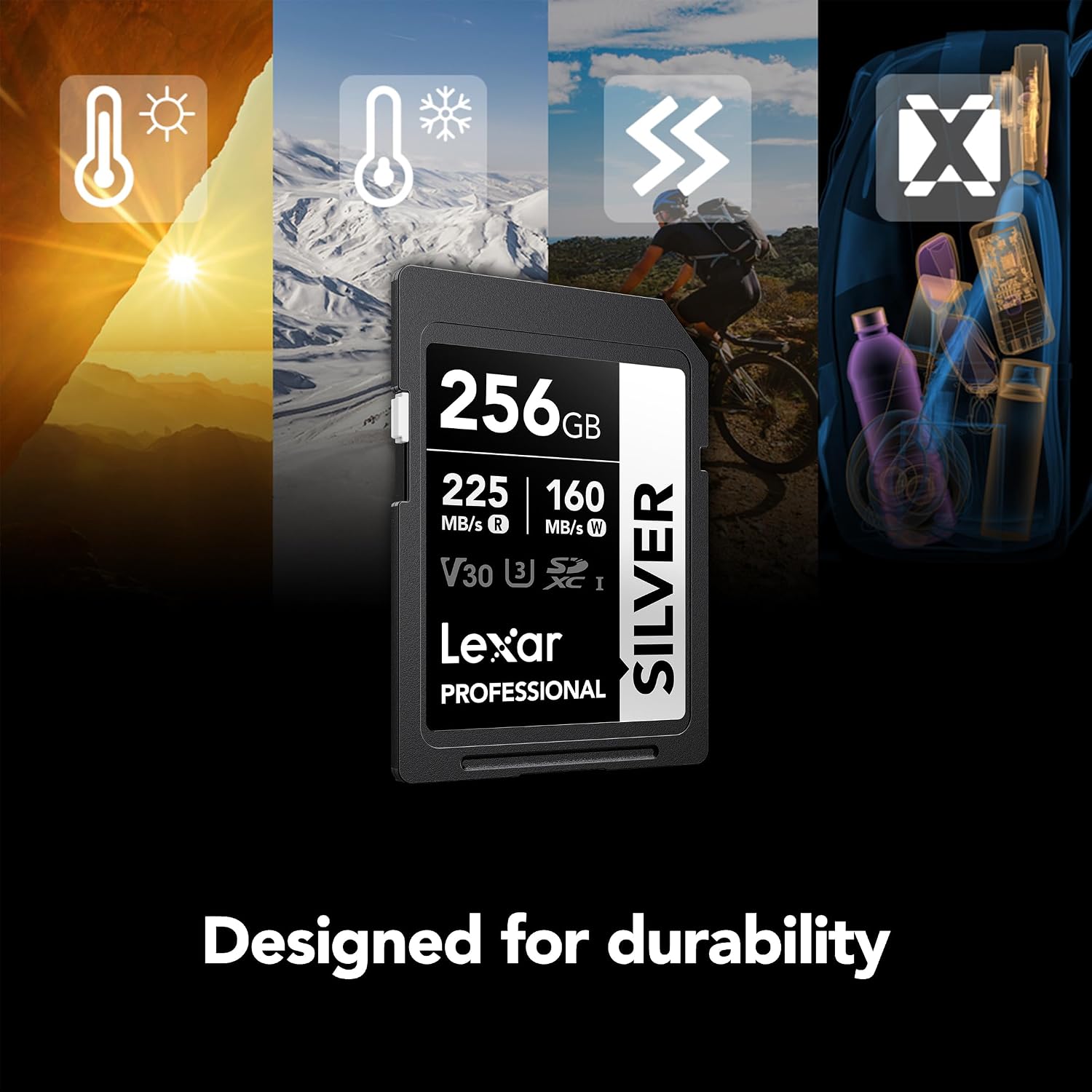 Detalle 2 de Lexar SD Memory Card 256GB