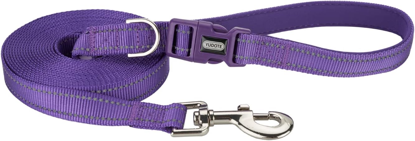 Detalle de Petiry Long Dog Training Lead 5m with Reflective Strong Nylon Webbing & Padded Handle (Purple)