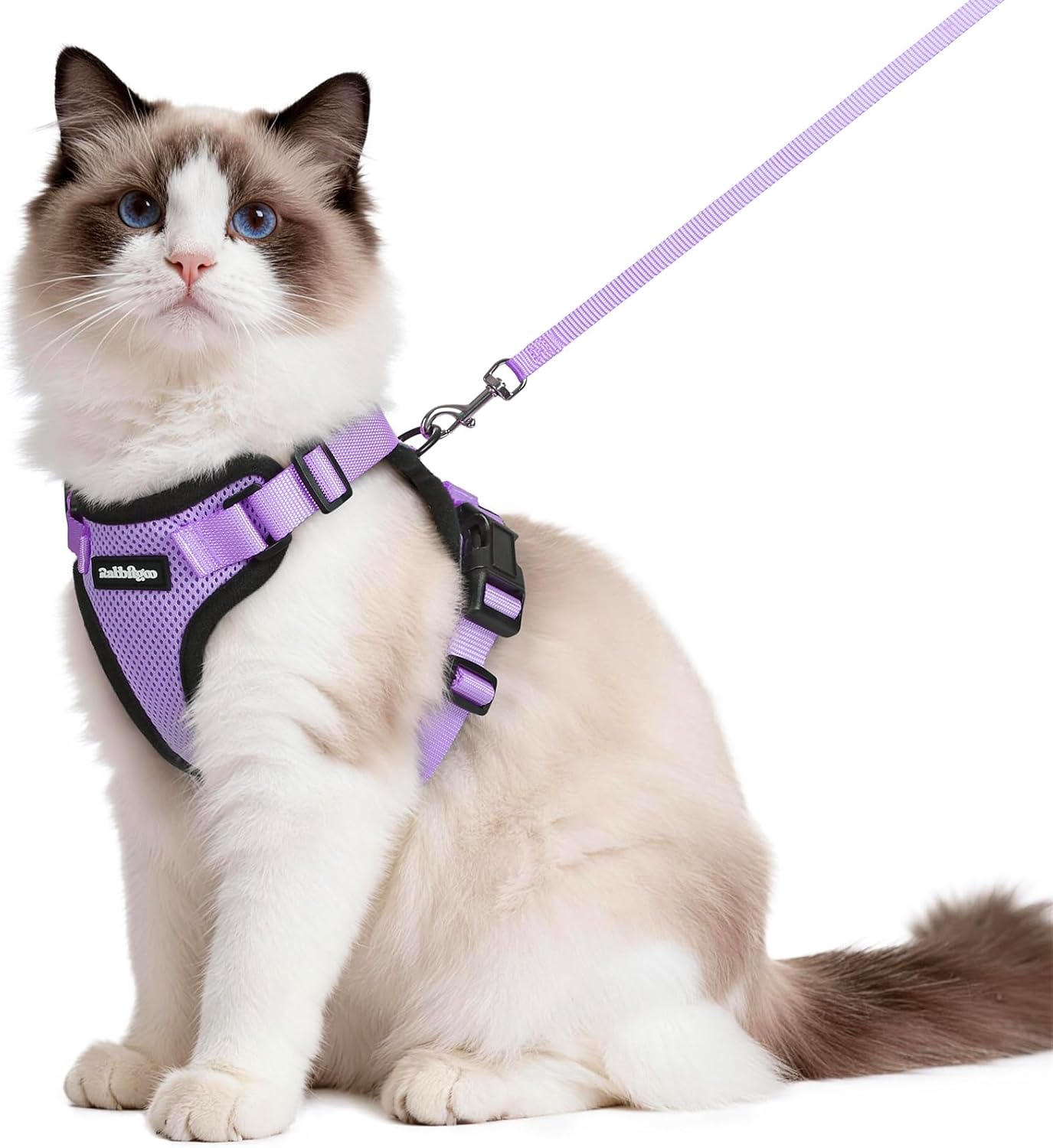 rabbitgoo Cat Harness and Lead Set (Escape Proof) with Reflective Adjustable Vest, Light Purple, Medium–Large (M)