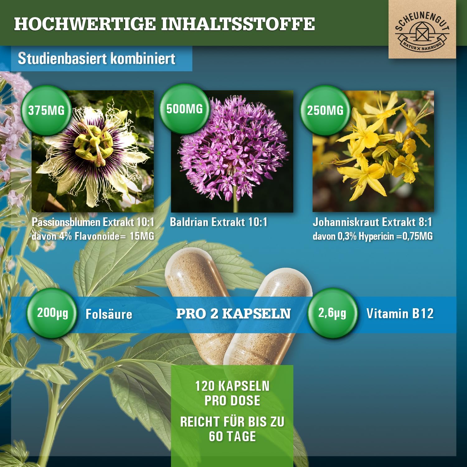 Thumbnail 1 de INNERE BALANCE® Passionsblume Johanniskraut Baldrian Hochdosiert – Laborgeprüfter Markenkomplex mit Hypericin, Hyperforin, Folsäure & Vitamin B12 (120 Kapseln)