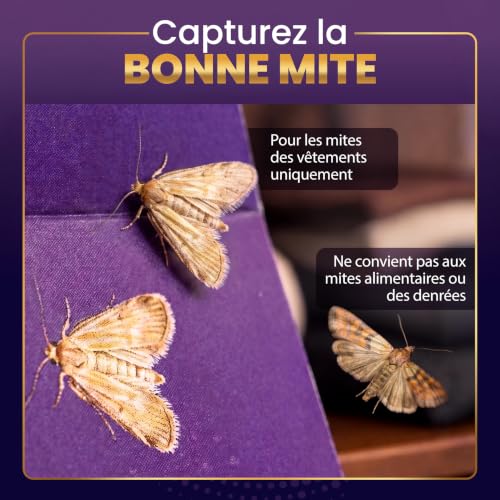 Detalle de INSECTIX PEST SOLUTION pièges à mites textiles, lot de 6