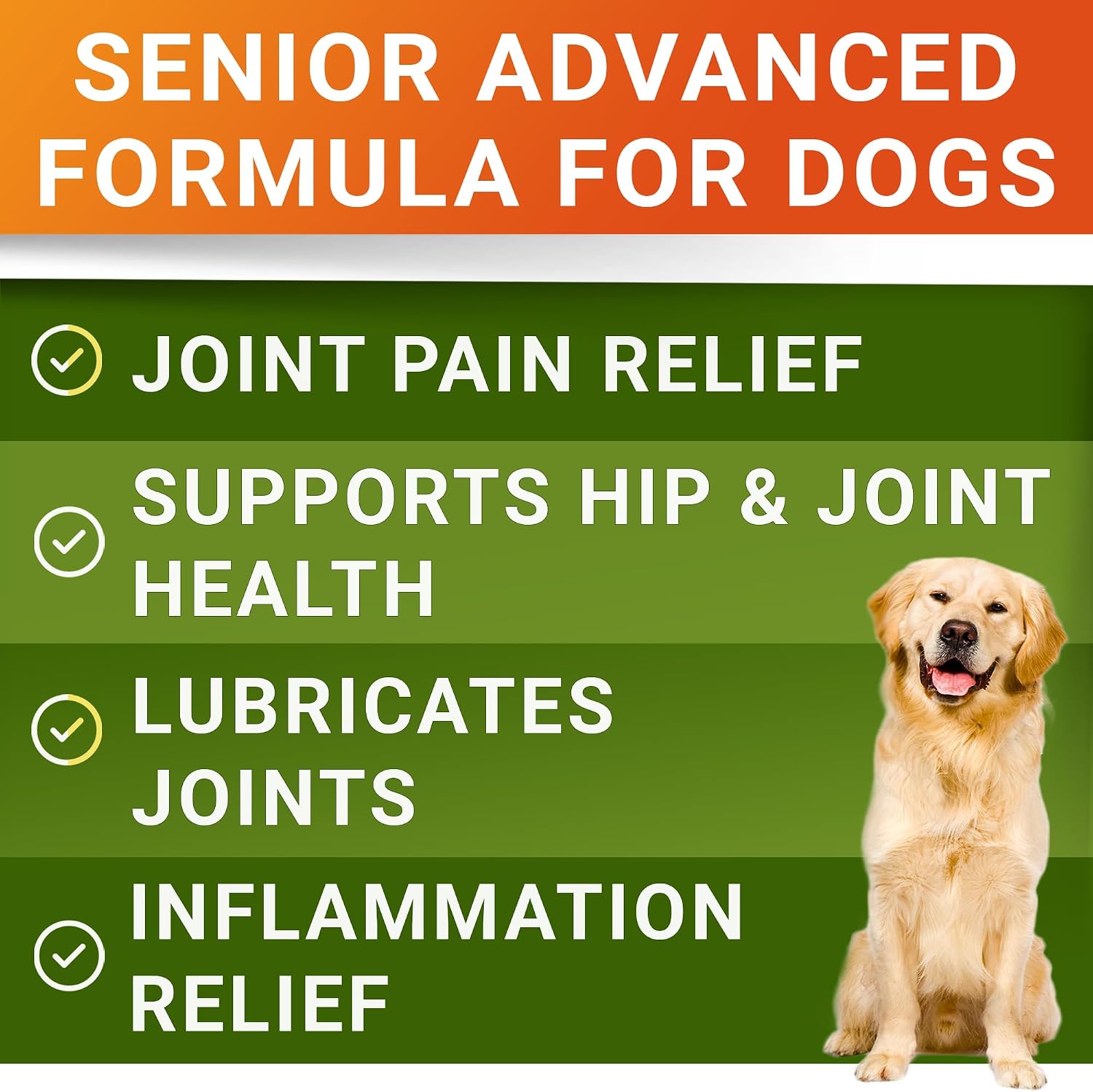 Detalle 2 de STRELLALAB Dog Joint Supplement, 120 Count