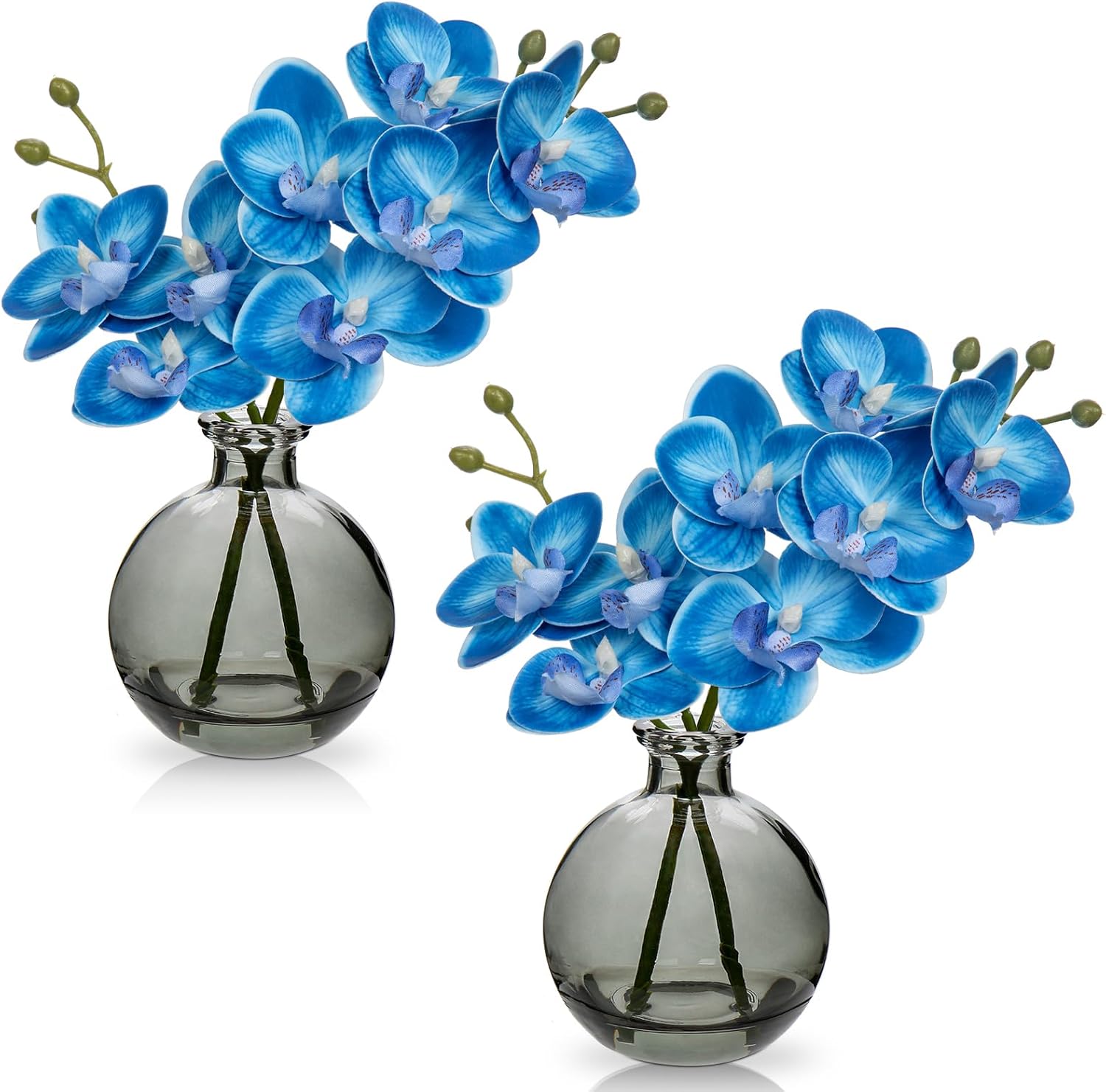 2 Stück Künstliche Orchideen Blau mit schwarzer Glasvase – Pflegeleichtes Deko-Set