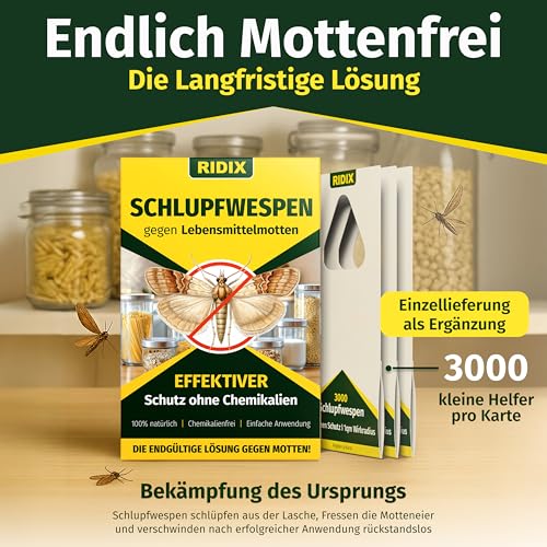 Thumbnail 1 de Ridix Schlupfwespen gegen Lebensmittelmotten – Biologische Lösung ohne Chemie (1 Lieferung mit 5 Karten)