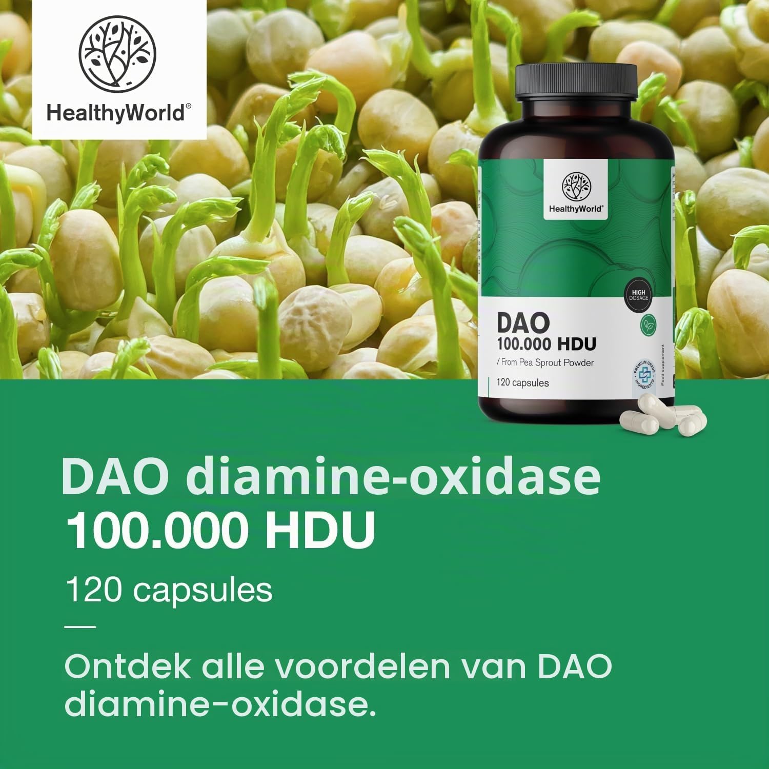 Detalle 1 de HealthyWorld DAO Diamine Oxidase-capsules, 100.000 HDU, vegan, 120 stuks