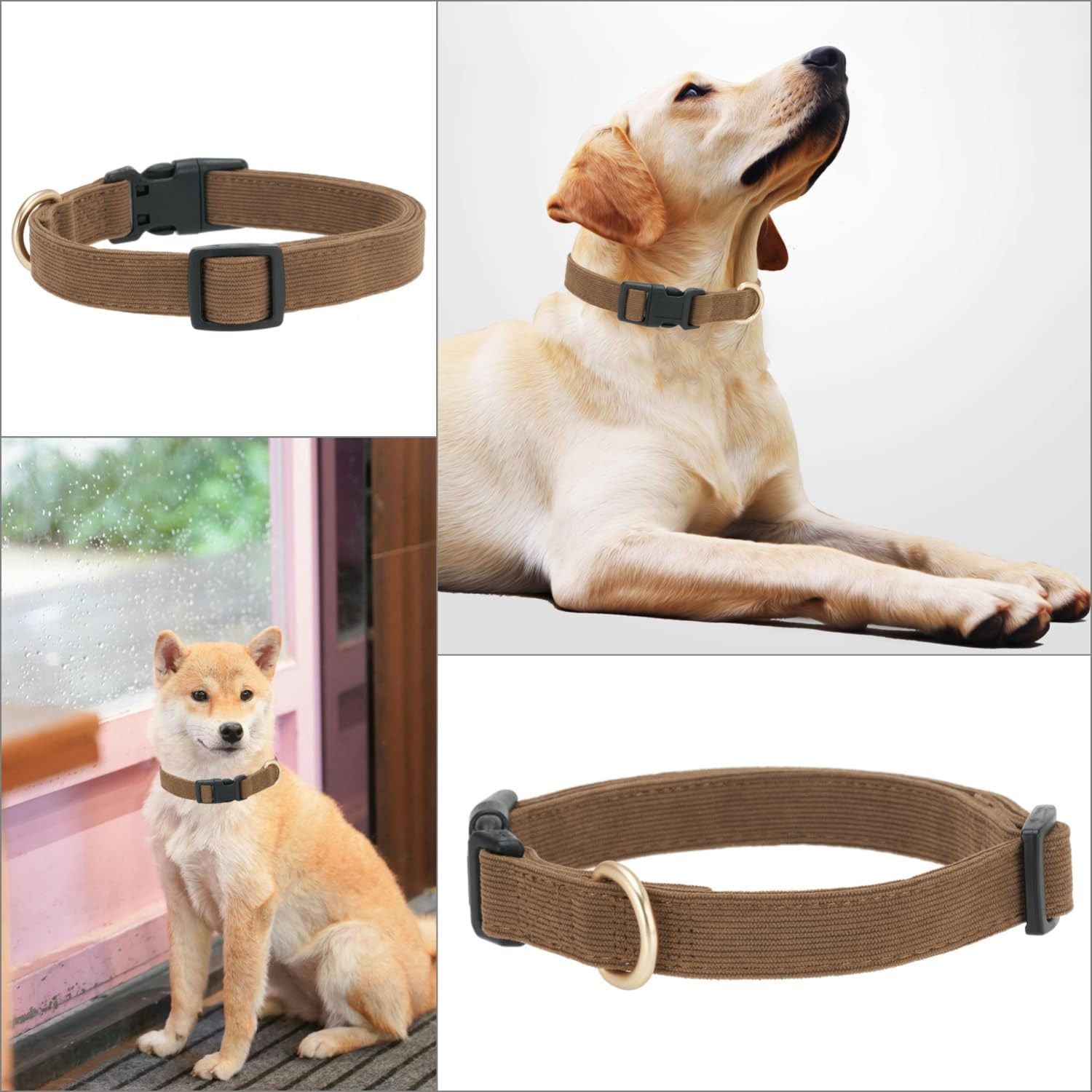 Thumbnail 3 de Petiry Small dog collar S, 1.5 cm width